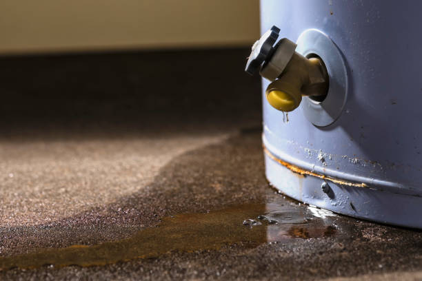 Best Flooded house restoration  in Gretna, VA