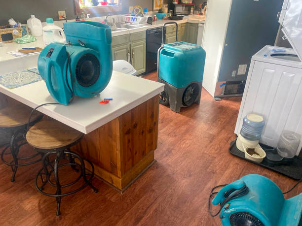 Best Water damage contractors near me  in Gretna, VA