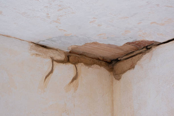 Professional Water damage restoration in VA