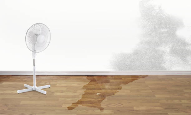 Best Residential water damage restoration  in Gretna, VA