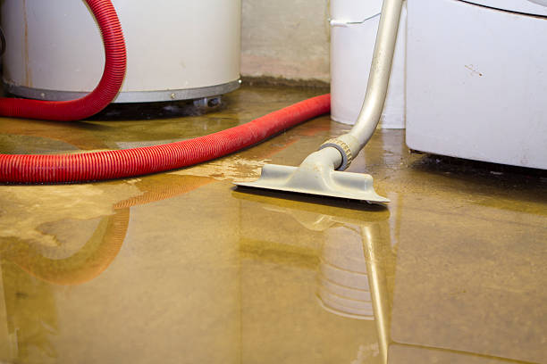 Best Carpet water damage restoration  in Gretna, VA