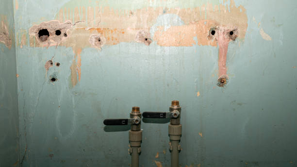 Best Flood restoration services  in Gretna, VA