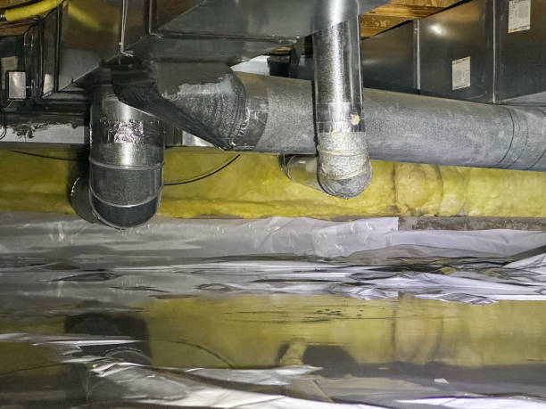 Best Basement water damage restoration  in Gretna, VA