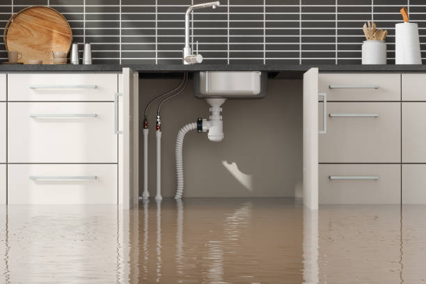  Gretna, VA Water damage restoration Pros