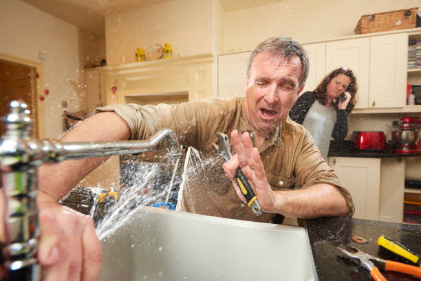 Best Professional water damage repair  in Gretna, VA